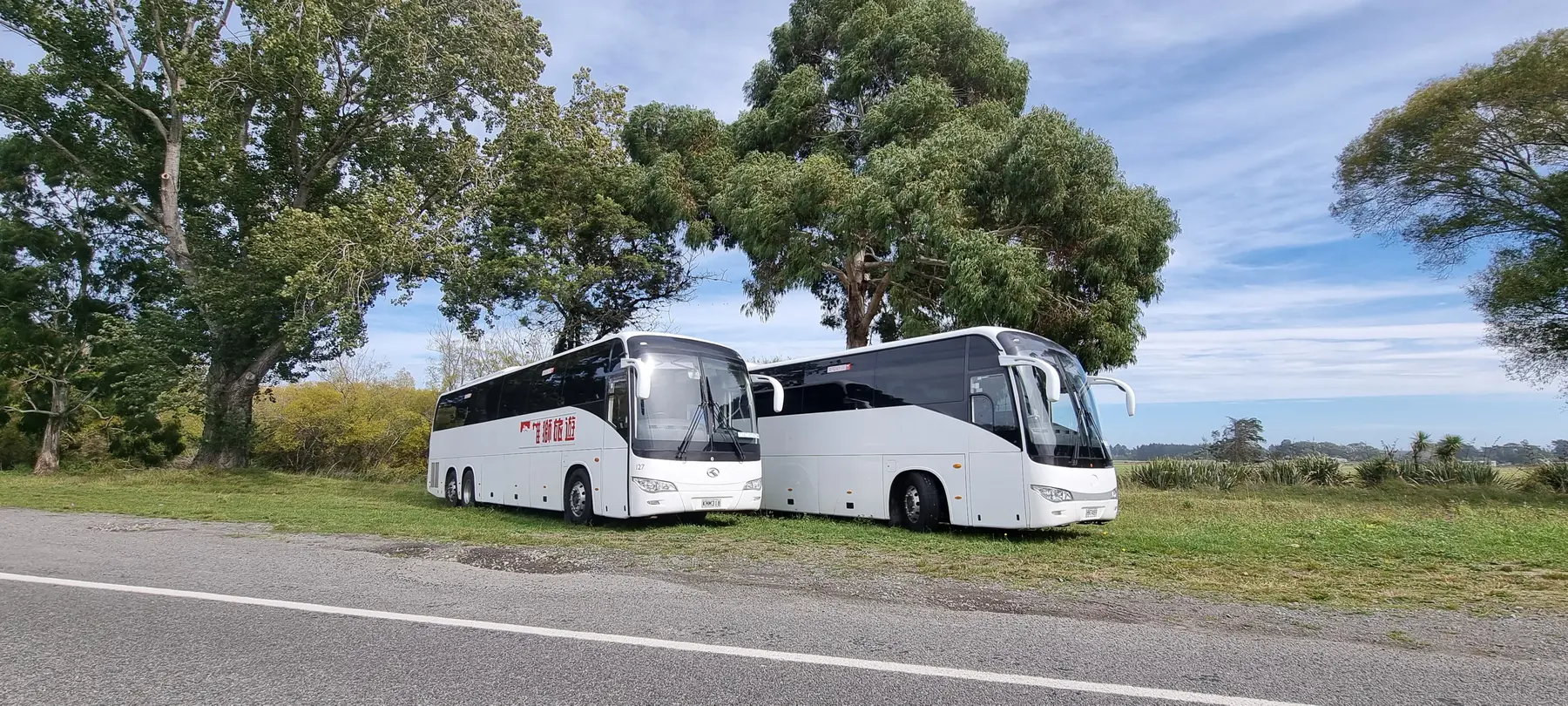 Coaches on a South Island trip